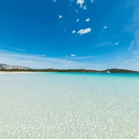 Lägenhet Marina Of Olbia