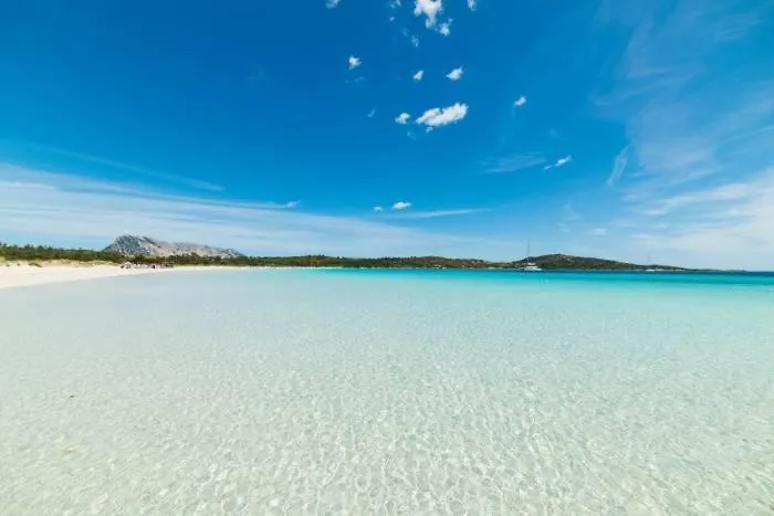 Apartament Marina Of Olbia