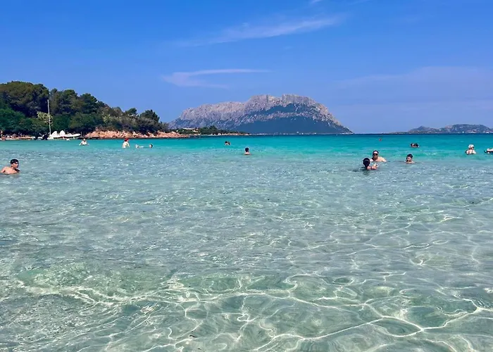 Apartament Marina Of